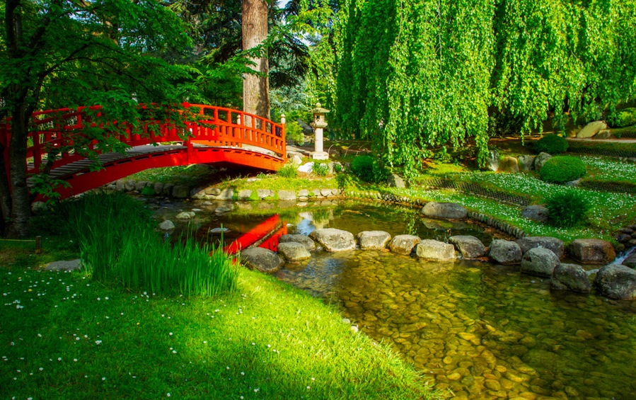 Au musée Albert Kahn, l’art des jardins du monde